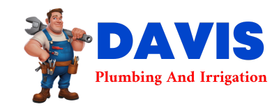 Trusted plumber in RITTER